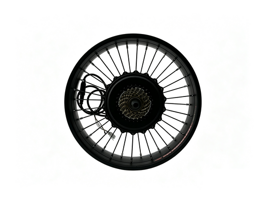 20*4.0 /24*4.0 /26*4.0 QS 1000W 170mm dropout Rear 48V motorwheel with 7 speed freewheel ,QS 1000W Fat motorwheel with spokes QS Motor