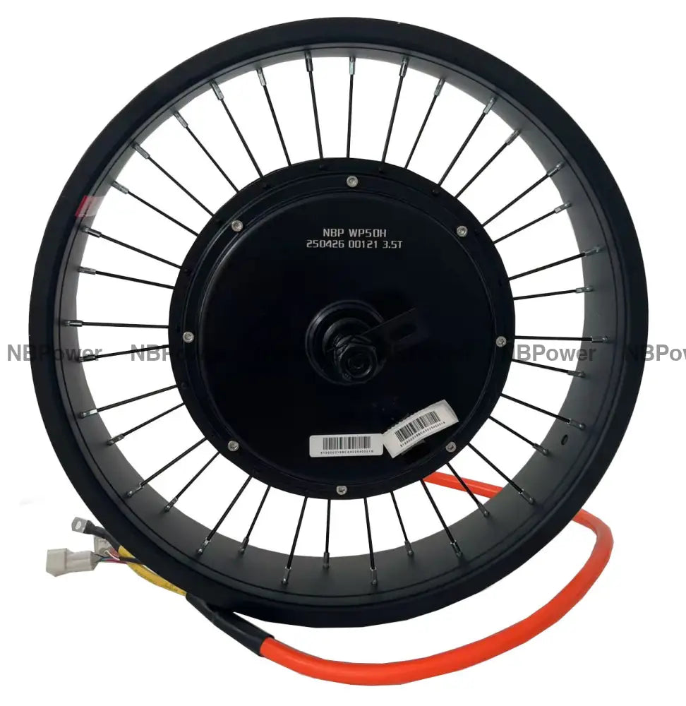 20*4.0 Fat rim QS 205 3.5T/4T/5T 150mm dropout 5000W motorwheel with single freewheel
