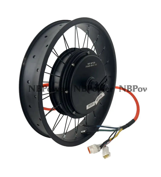 20*4.0 Fat rim QS 205 3.5T/4T/5T 150mm dropout 5000W motorwheel with single freewheel 3.5T