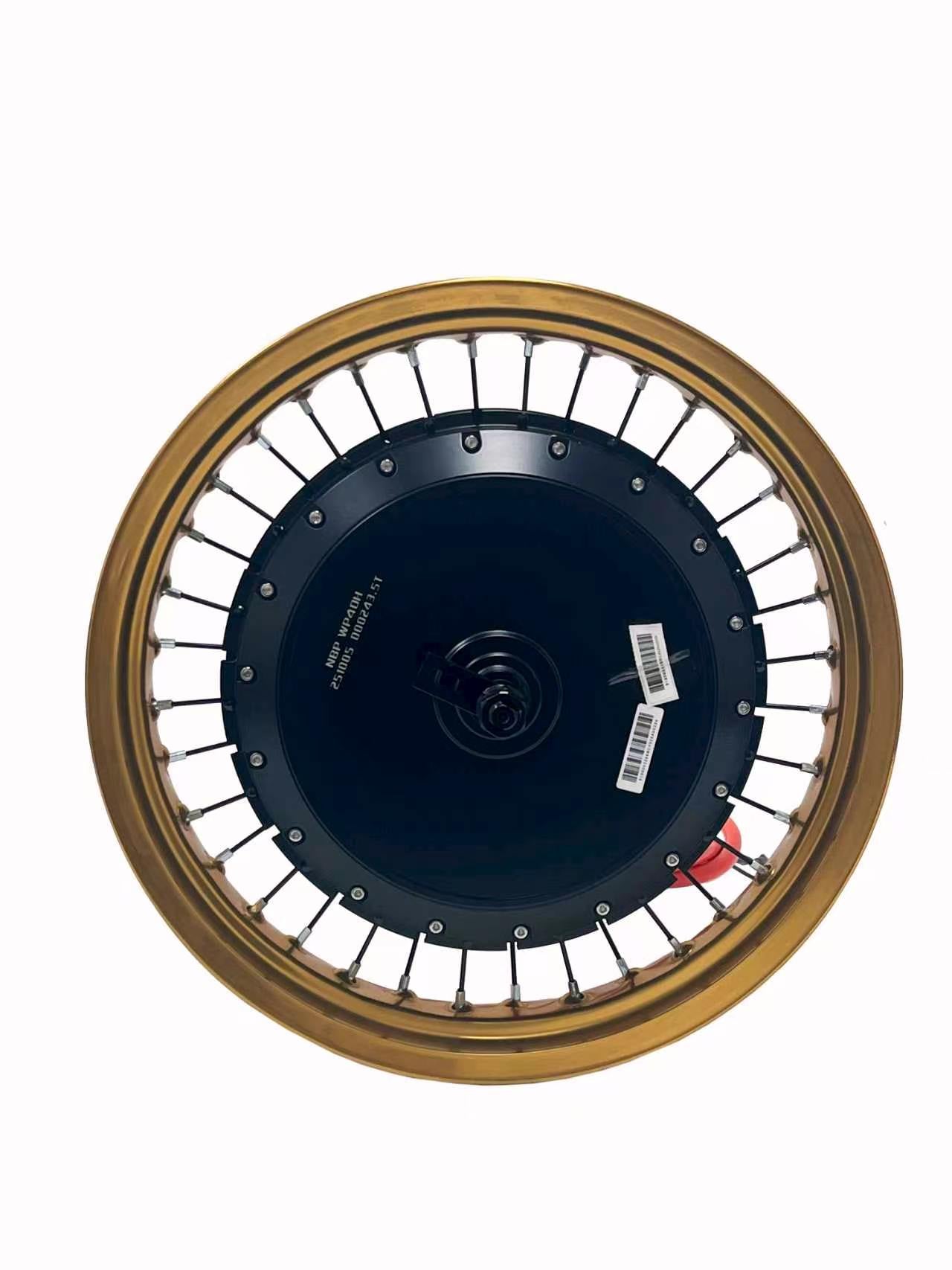 17*3.0 Different  Color Motorcycle Rim With Rear 150-155mm Dropout QS 273 8000W Motorwheel with Single Freewheel