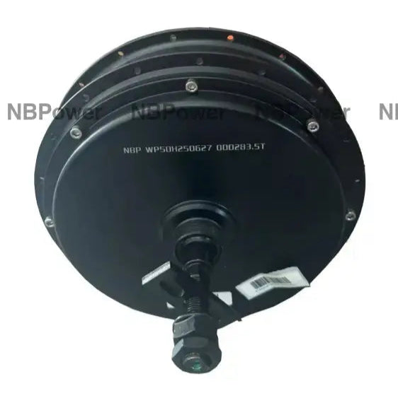 3T/3.5T/4T/5T QS205 170-175mm dropout Rear 5000W motor Motor