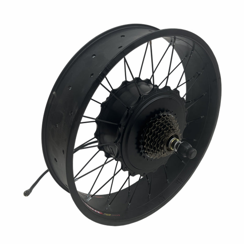 20*4.0 /24*4.0 /26*4.0 QS 1000W 170mm dropout Rear 48V motorwheel with 7 speed freewheel ,QS  1000W Fat motorwheel with spokes